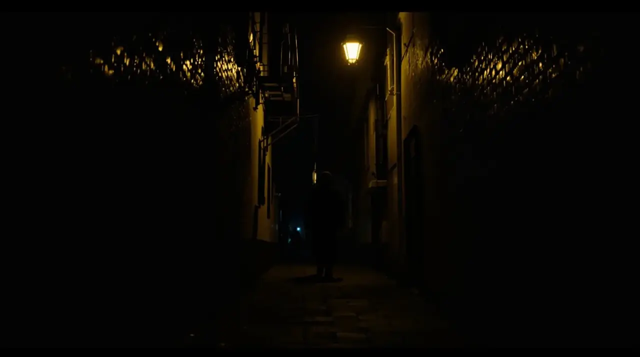 暗巷回声 Echoes in the Alley 高清欧美电影剧照